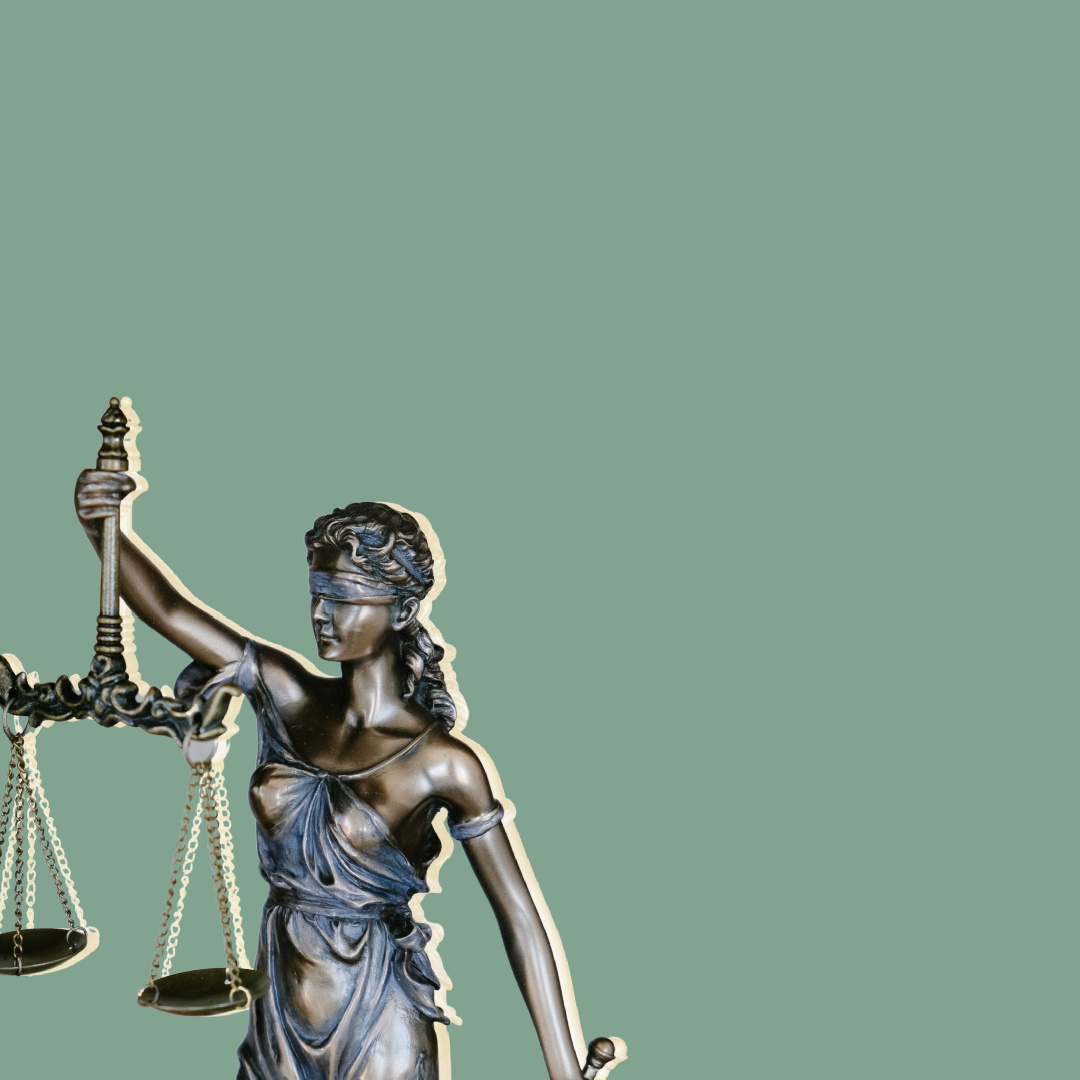 What is the experience level of most family lawyers in Castlemaine?